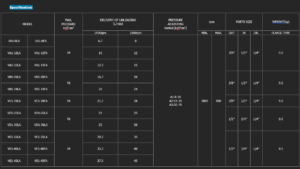 Chance Model Selection